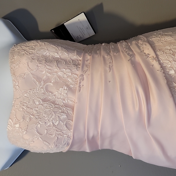 NWT Caterina Collection Pink Lace Jordan Formal Gown Size 8 - Picture 2 of 6